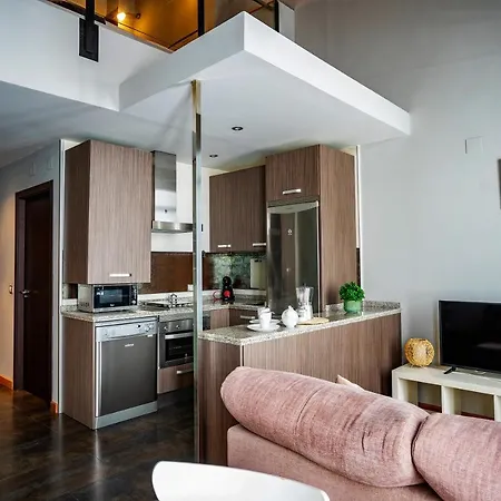 Apartment Loft Betania